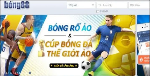 Bóng rổ với hơn 250 kèo hấp dẫn mỗi ngày